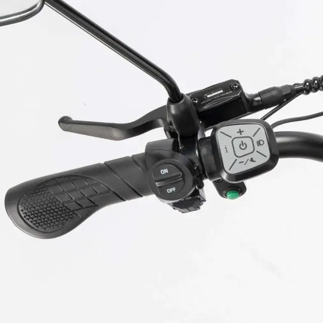 Electric Bike Ridstar YVY C20 Max 2000W Motor 52V 40AH Battery 20