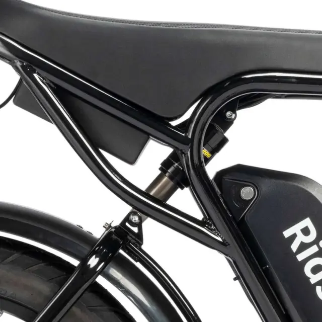 Electric Bike Ridstar YVY C20 Max 2000W Motor 52V 40AH Battery 20
