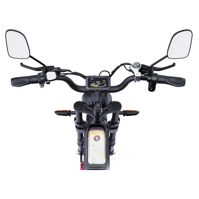 Electric Bike Ridstar YVY C20 Max 2000W Motor 52V 40AH Battery 20