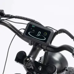 Electric Bike Ridstar YVY C20 Max 2000W Motor 52V 40AH Battery 20