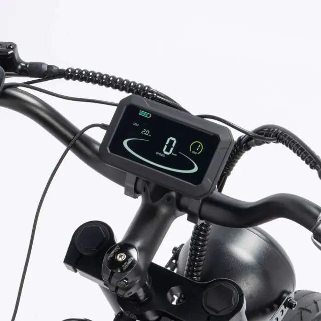 Electric Bike Ridstar YVY C20 Max 2000W Motor 52V 40AH Battery 20