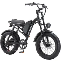 Electric Bike Keteles K880 48V17.5Ah 1000W Fat Tire E Bike, 43km/h 20