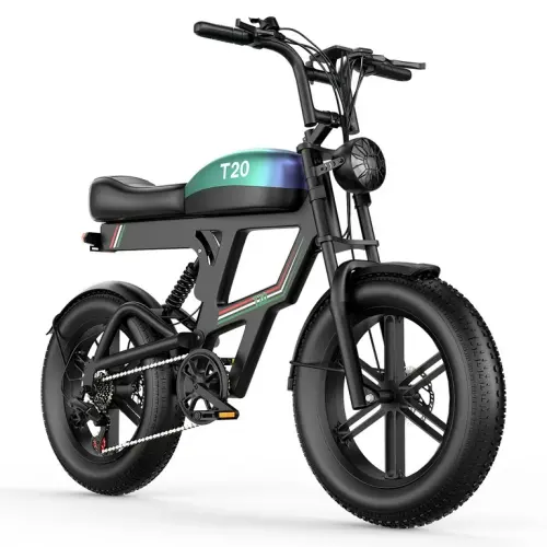 Electric Bike ASKGO T20 1500W, 56kmh  20