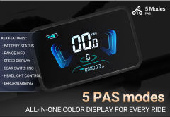 PIXAR® SuperV Light Electric Bike 500W 20