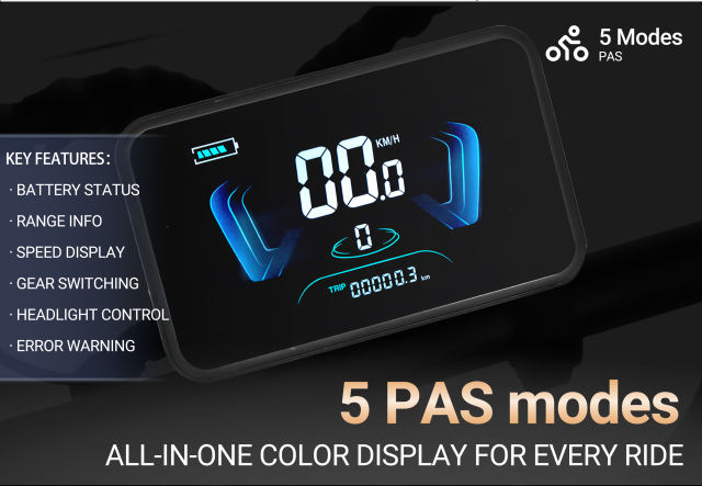 PIXAR® SuperV Light Electric Bike 500W 20
