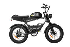 PIXAR® SuperV Light Electric Bike 500W 20