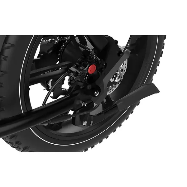 KOOLUX X9 Pro 750W Dual Battery Ebike 20