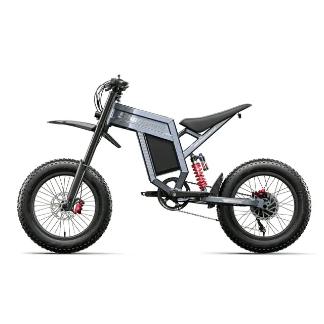 Electric Bike SHENGMILO S900 1500W 60v 30Ah 20"