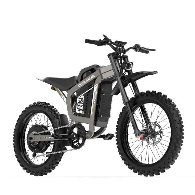 Electric Dirt Bike COSWHEEL R19 9000W 19”