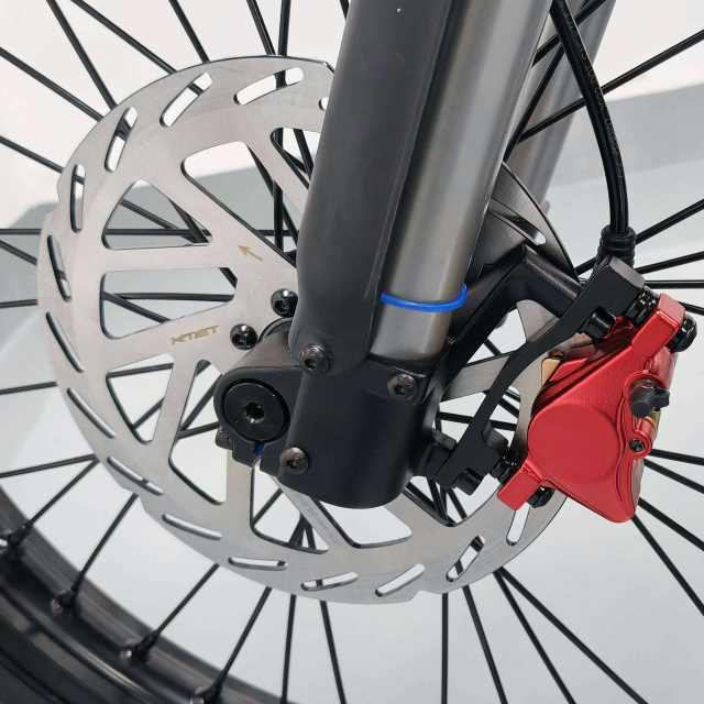 Electric Dirt Bike COSWHEEL R19 9000W 19”