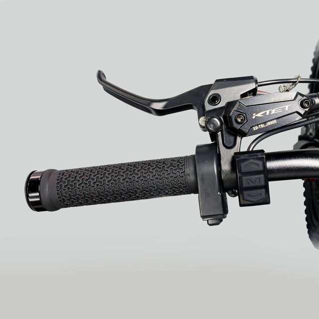 Electric Dirt Bike COSWHEEL R19 9000W 19”