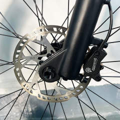 Climtop Q31 1000W Electric Bike  27.5
