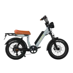 Onemile M40PRO Electric Fat Bike 850W DUAL PASSENGER 20