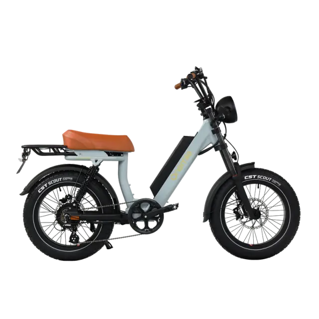 Onemile M40PRO Electric Fat Bike 850W DUAL PASSENGER 20