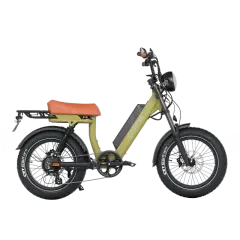 Onemile M40PRO Electric Fat Bike 850W DUAL PASSENGER 20