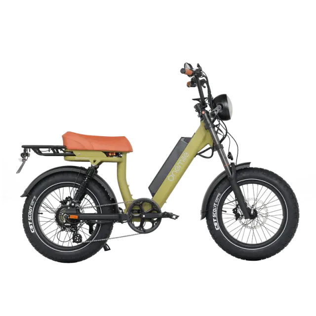 Onemile M40PRO Electric Fat Bike 850W DUAL PASSENGER 20