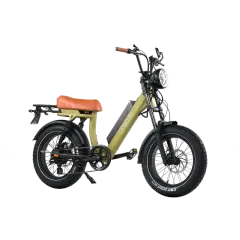 Onemile M40PRO Electric Fat Bike 850W DUAL PASSENGER 20