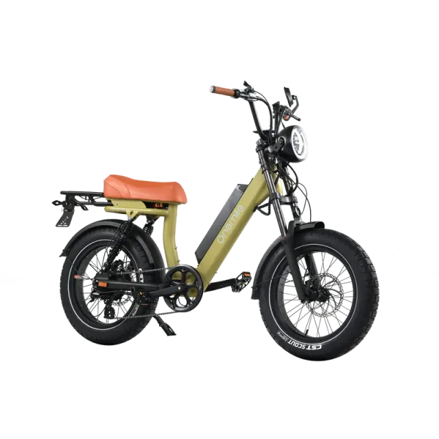 Onemile M40PRO Electric Fat Bike 850W DUAL PASSENGER 20
