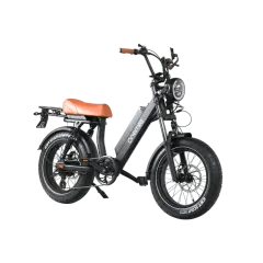 Onemile M40PRO Electric Fat Bike 850W DUAL PASSENGER 20