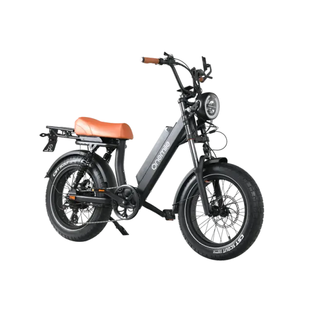 Onemile M40PRO Electric Fat Bike 850W DUAL PASSENGER 20