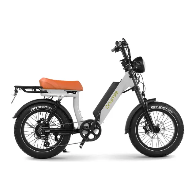 Onemile M40PRO Electric Fat Bike 850W DUAL PASSENGER 20