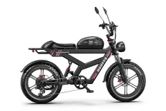 EBIKE DUOTTS F20 52V 1000W 20