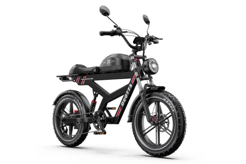 EBIKE DUOTTS F20 52V 1000W 20