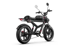 EBIKE DUOTTS F20 52V 1000W 20