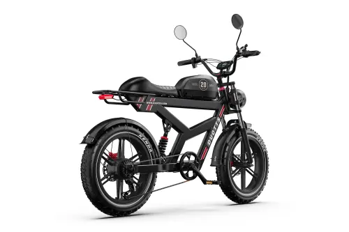 EBIKE DUOTTS F20 52V 1000W 20