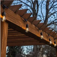 Ampoules LED à cordes 110V 220V IP65 pour la décoration de fête