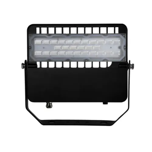 Luces de inundación de aluminio del cuerpo 100W 3030 SMD LED para el jardín