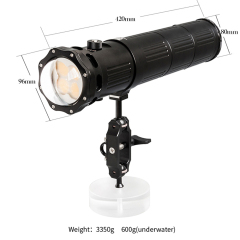 V12K video light