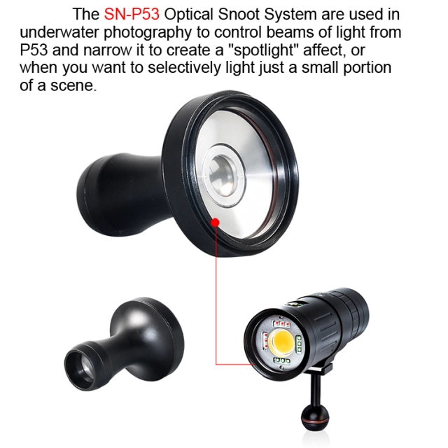 SN-P53