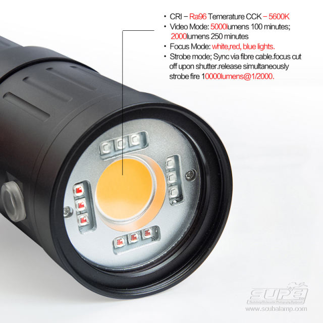 P53 Pro Strobe / Video Light