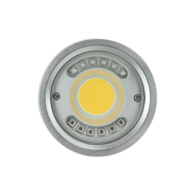 P33 Video Focus Strobe Light