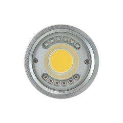 P33 Video Focus Strobe Light