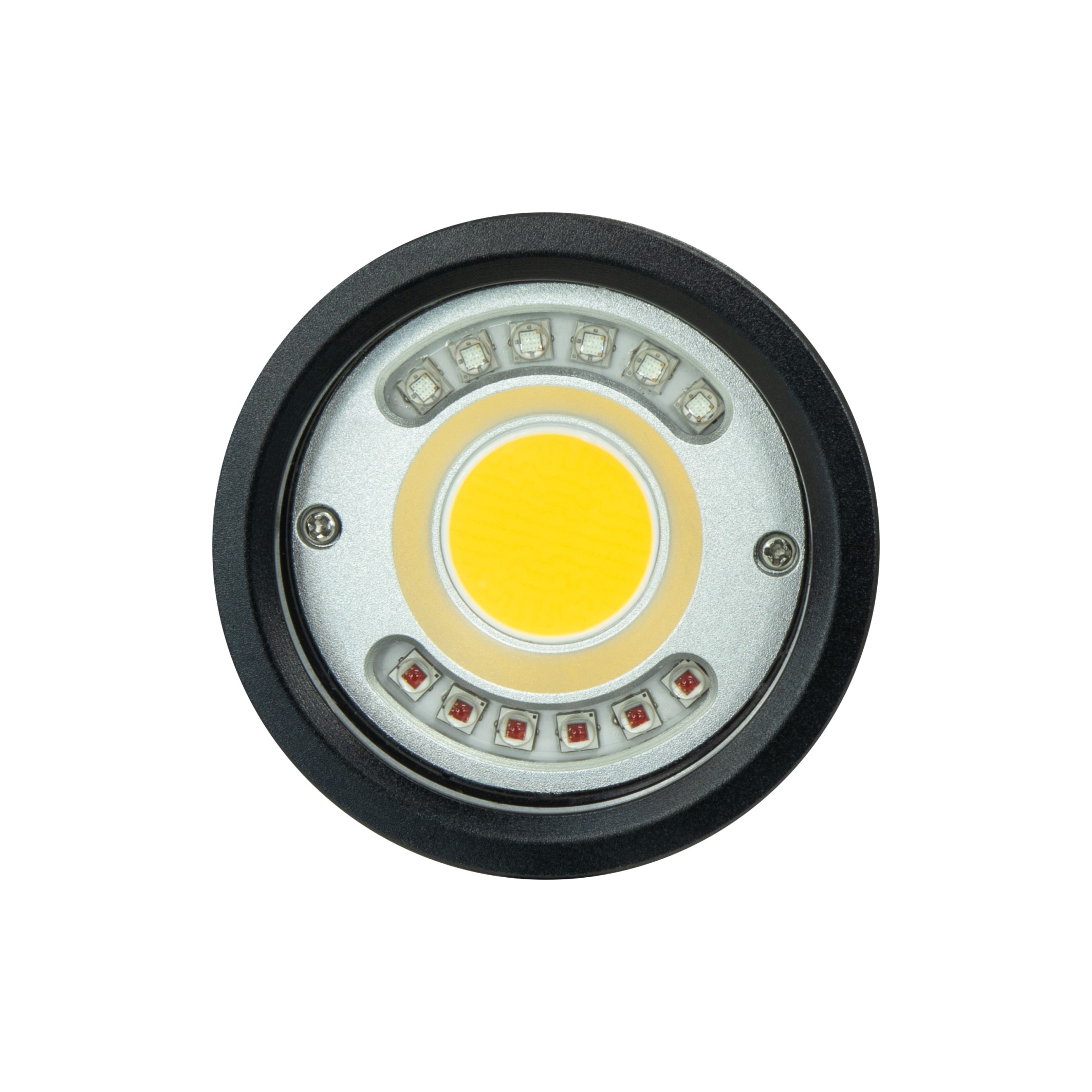 P33 Video Focus Strobe Light