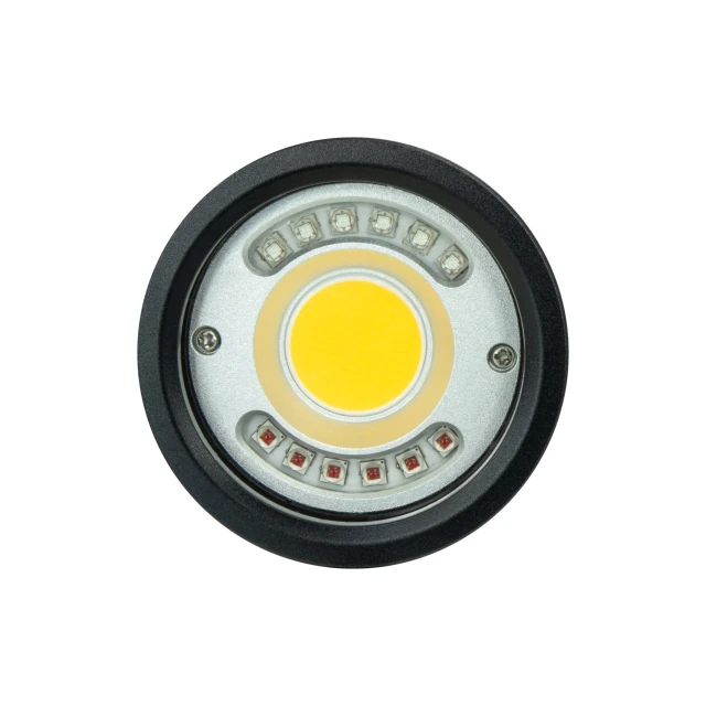 P33 Video Focus Strobe Light