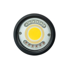 P33 Video Focus Strobe Light