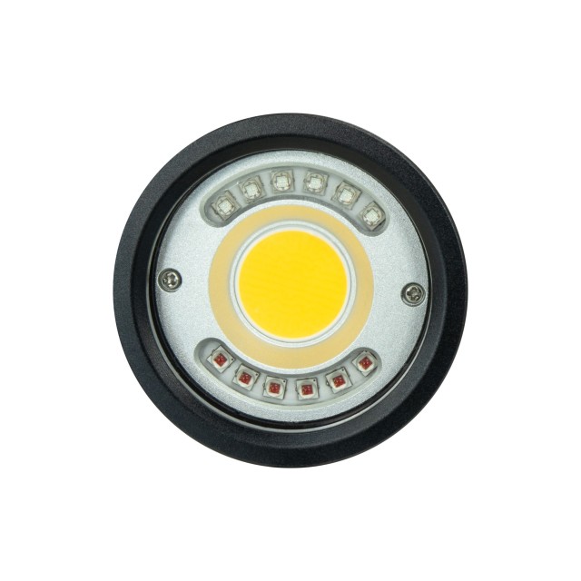 P33 Video Focus Strobe Light