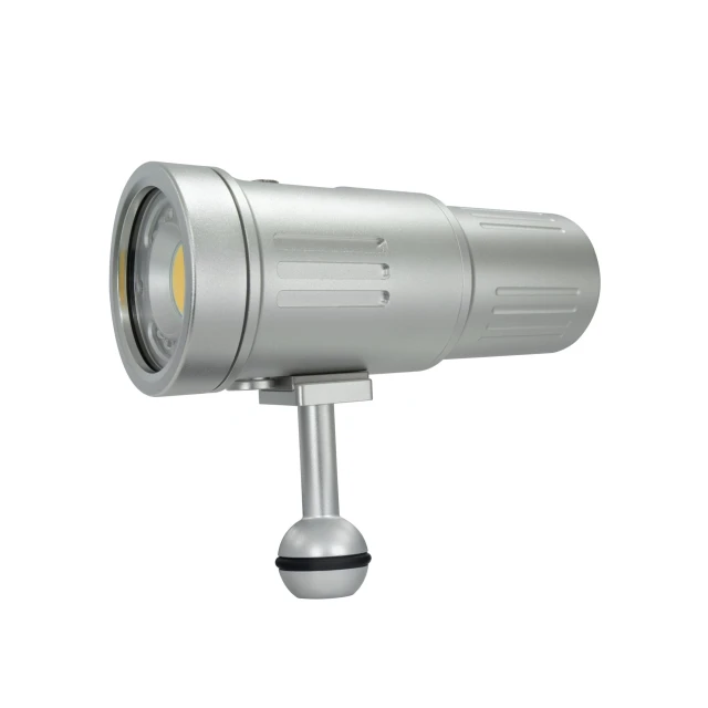 P33 Video Focus Strobe Light