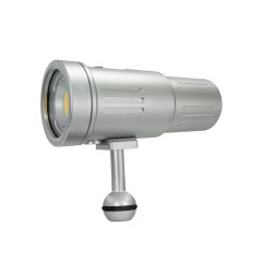 P33 Video Focus Strobe Light