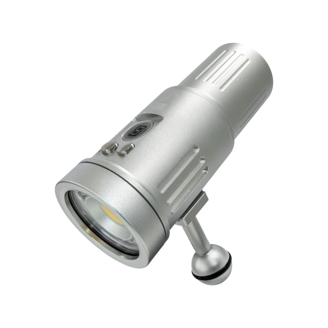 P33 Video Focus Strobe Light