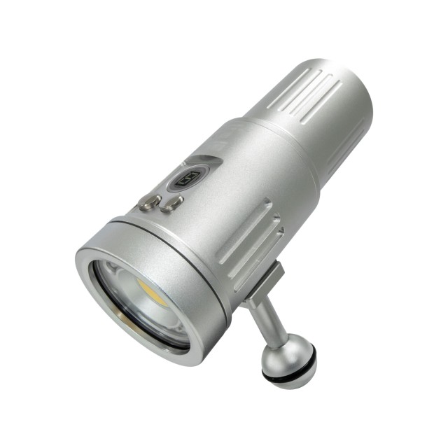 P33 Video Focus Strobe Light