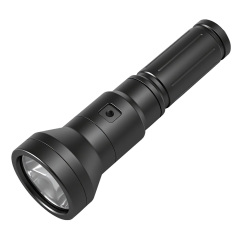 RD93 v2  -3000lumens