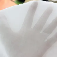 Wholesale 100% cotton thin see through white fabric for fashion clothing