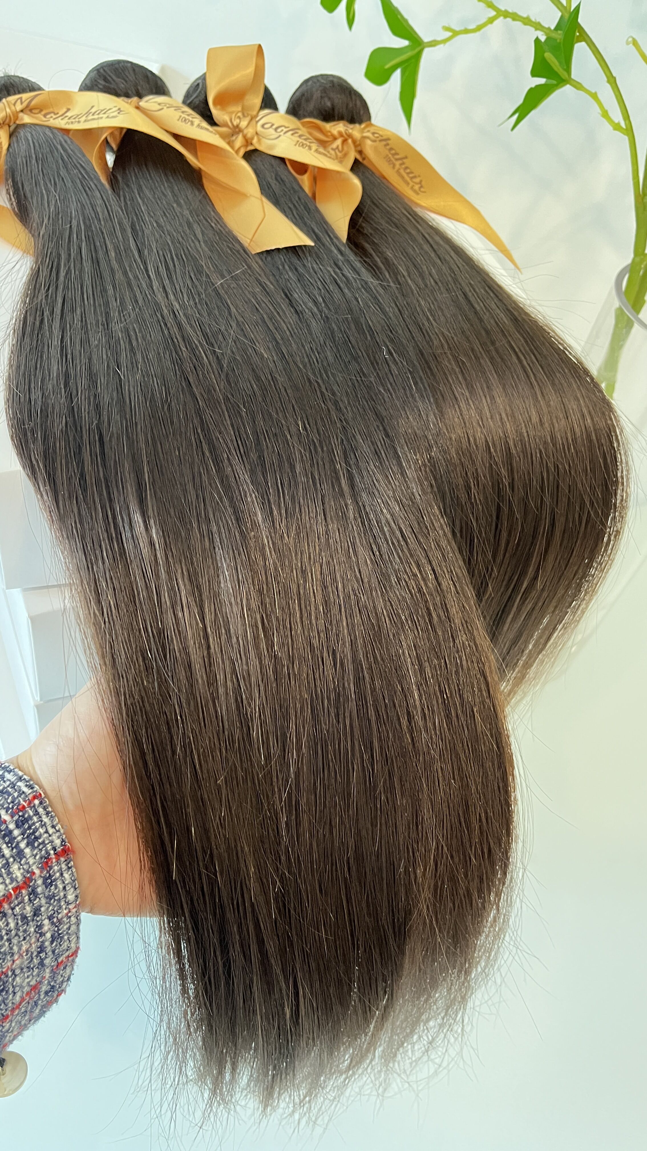 MOCHA Hair  3pcs/lot Straight virgin  Hair 10" 12 "14" 16"18" 10A Brazilian Virgin Hair Natural  brown Color
