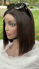 13x4 HD Lace Front Wig Straight Virgin Human Hair Pre Plucked Natural Hairline with Baby Hair 8-18 Inch Glueless Wig for Women
