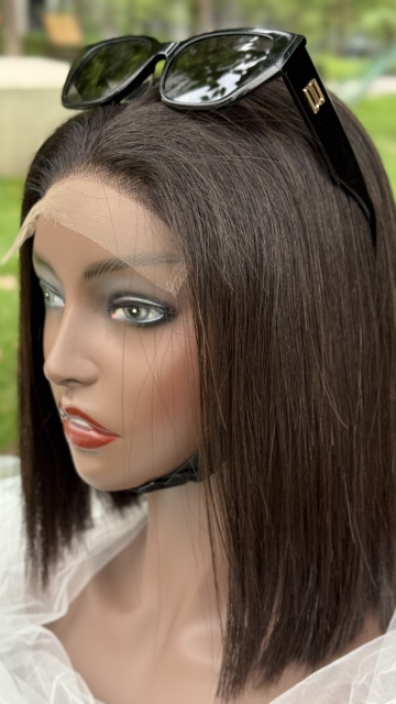 13x4 HD Lace Front Wig Straight Virgin Human Hair Pre Plucked Natural Hairline with Baby Hair 8-18 Inch Glueless Wig for Women