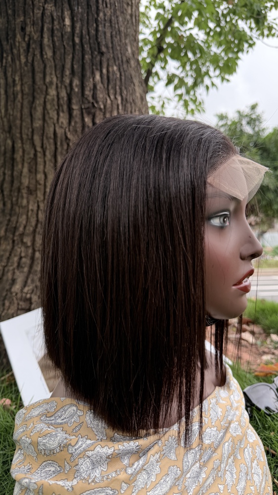 13x4 HD Lace Front Wig Straight Virgin Human Hair Pre Plucked Natural Hairline with Baby Hair 8-18 Inch Glueless Wig for Women